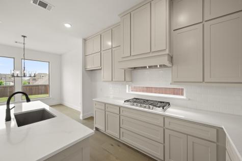 9908 Casa Frontera Drive Fort Worth TX 76179