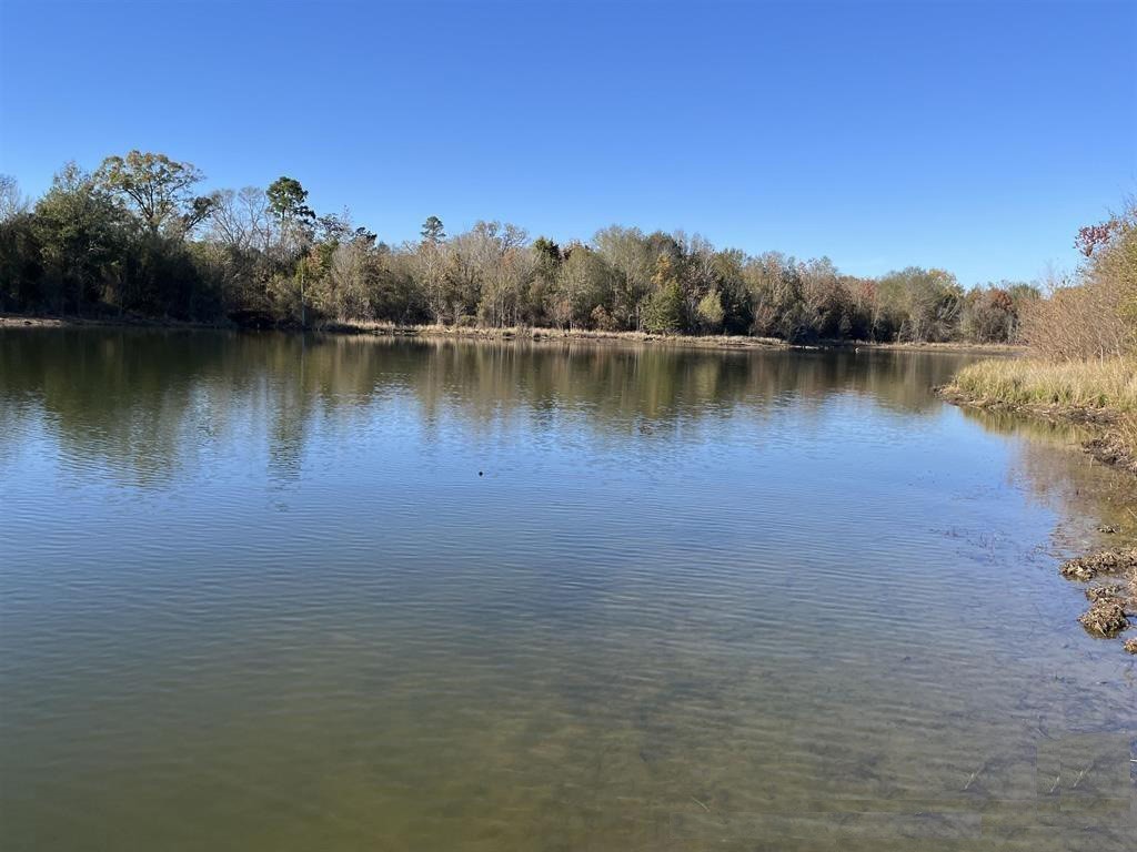 373 Cr 2724 Mineola TX 75773