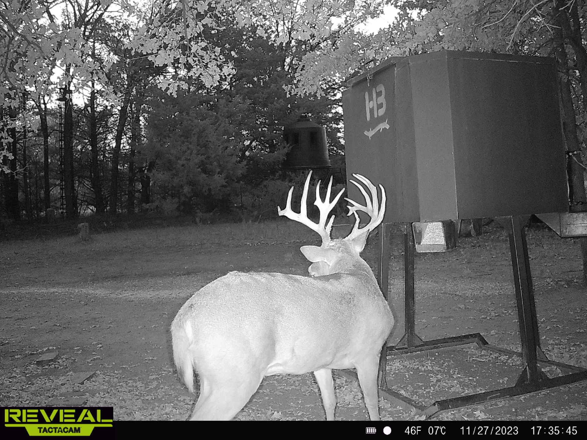 186 Martin Lane Sadler TX 76264