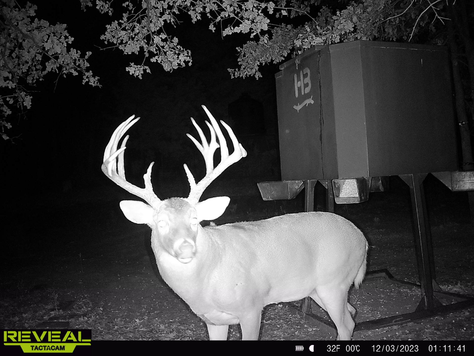 186 Martin Lane Sadler TX 76264