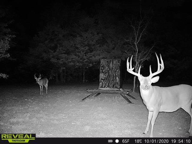 186 Martin Lane Sadler TX 76264
