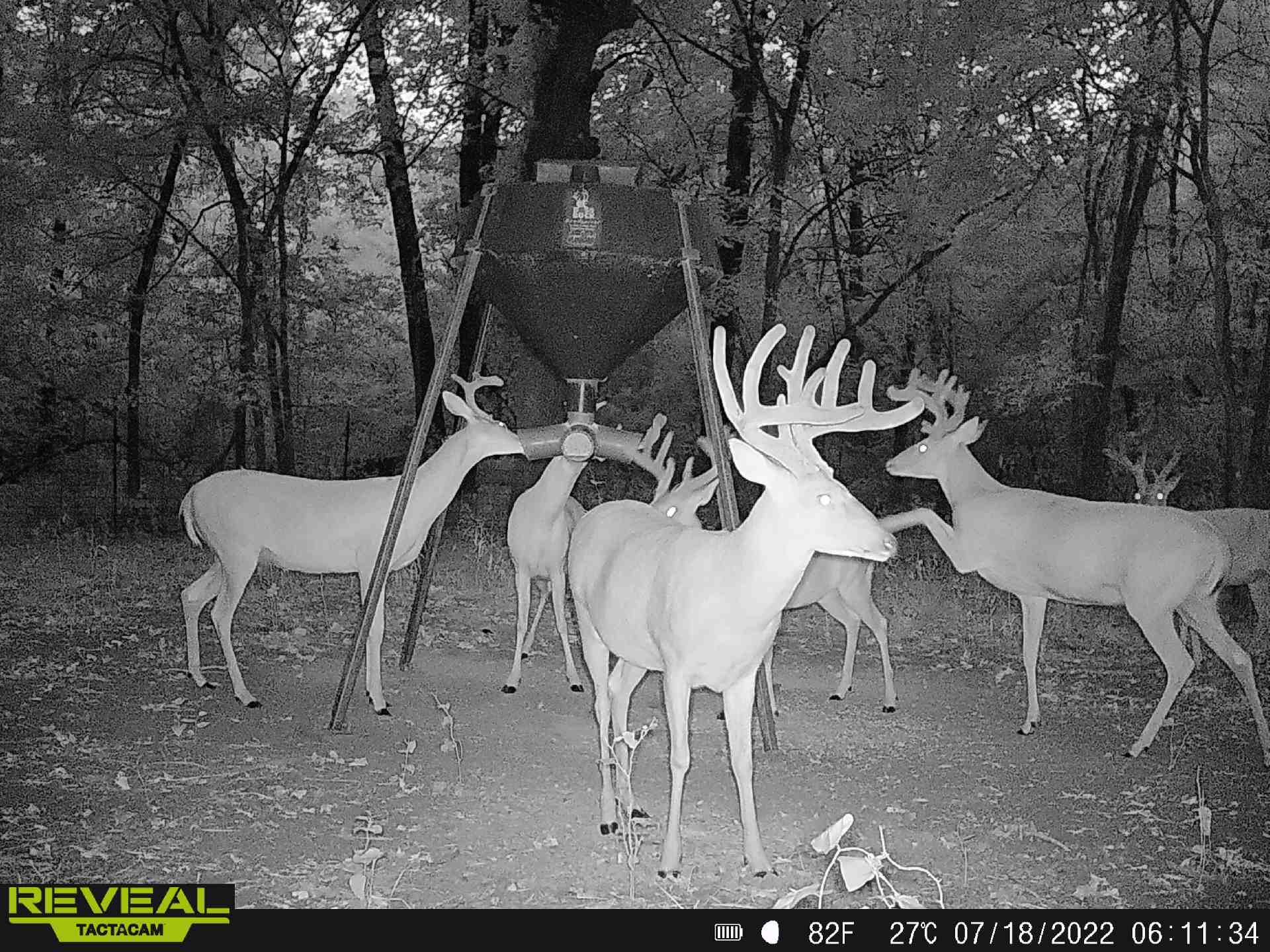 186 Martin Lane Sadler TX 76264