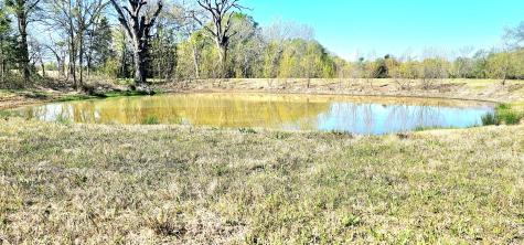 301 County Road 44000 Blossom TX 75416