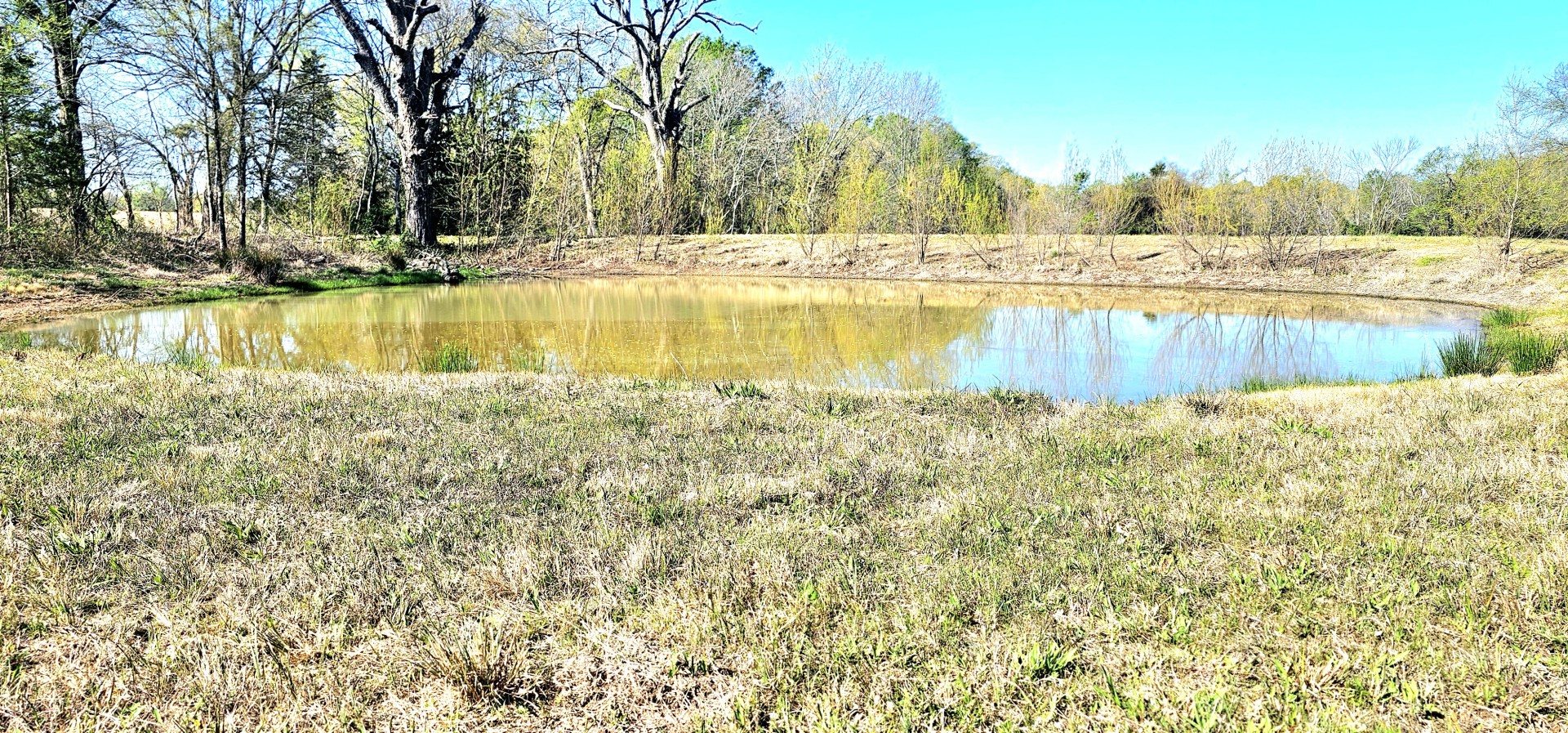 301 County Road 44000 Blossom TX 75416