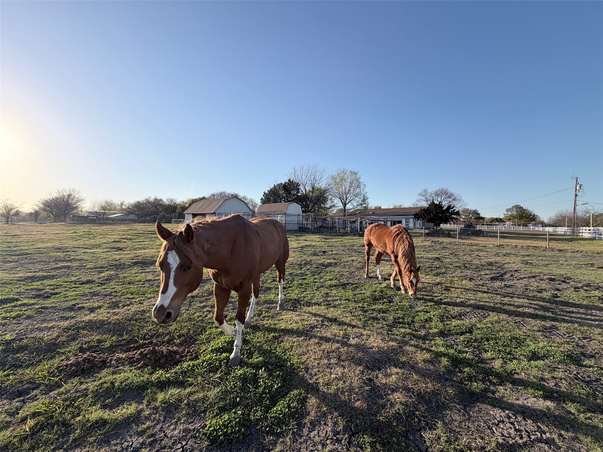 2104 Ponderosa Trail Sachse TX 75048