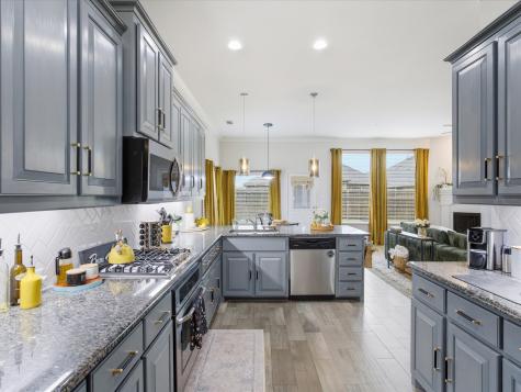 3061 Bella Lago Drive Fort Worth TX 76177