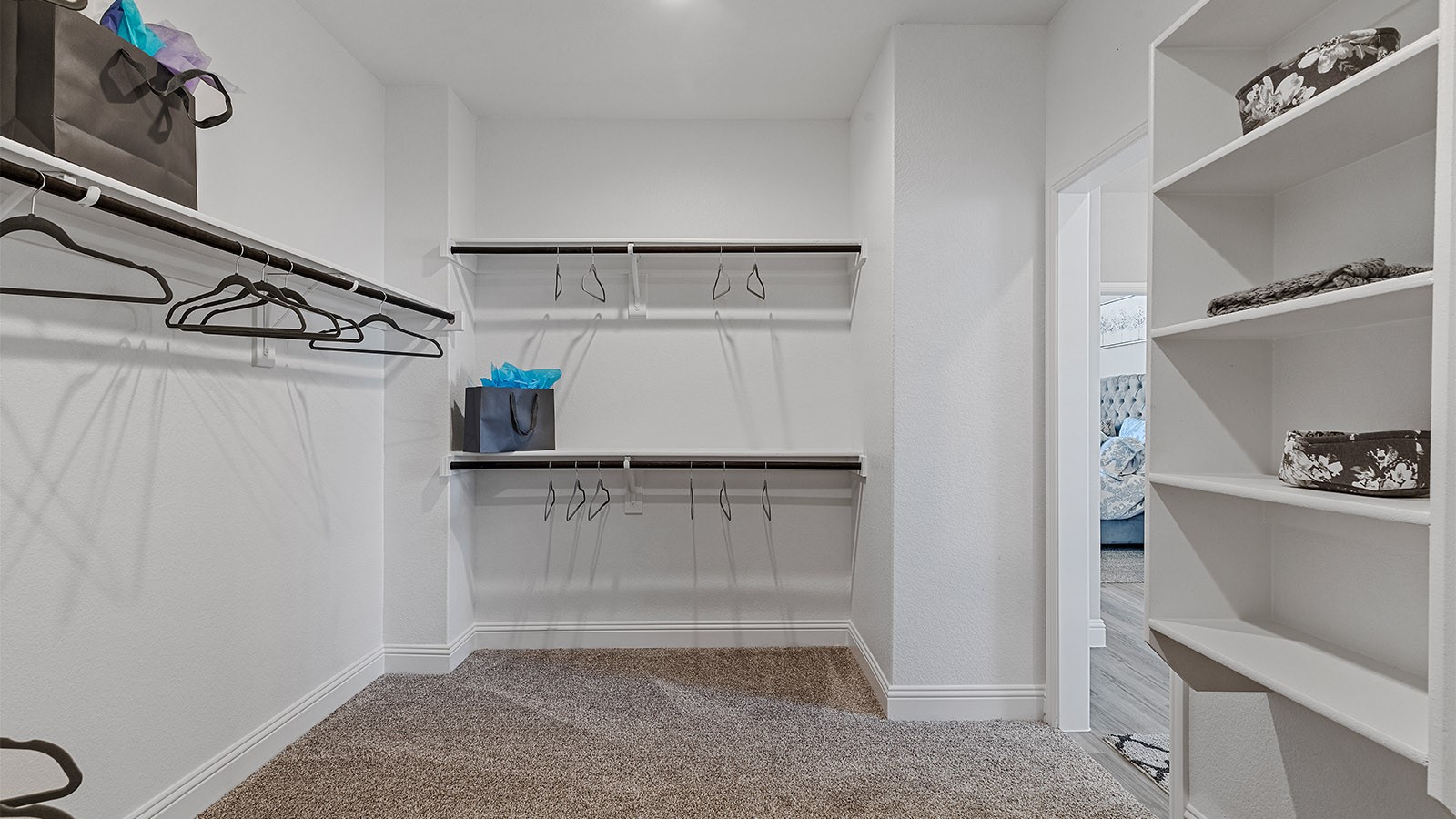 6869 Brahman Drive Arlington TX 76001