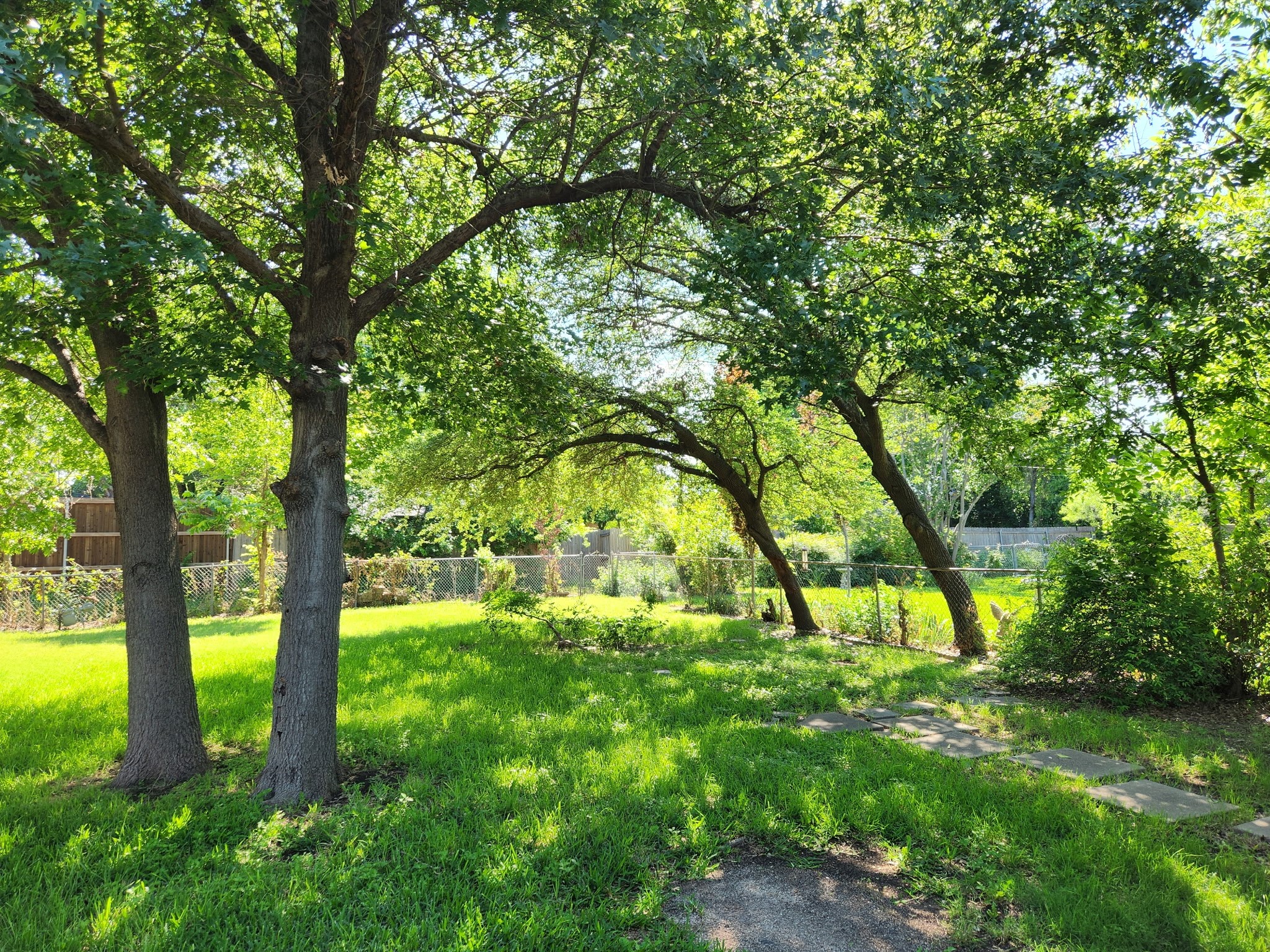203 Leda Drive Dallas TX 75218