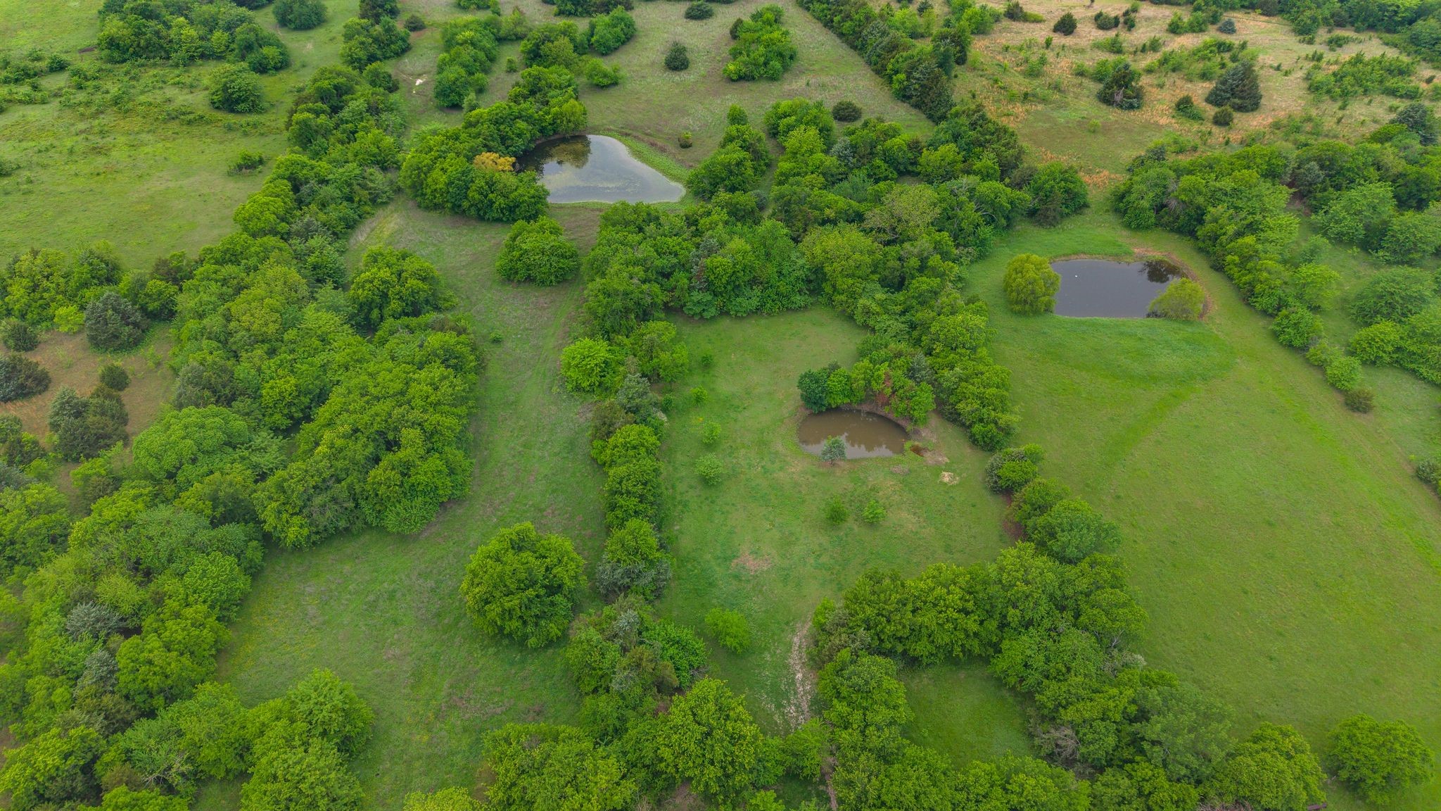 601 Gladys Street Lone Oak TX 75453
