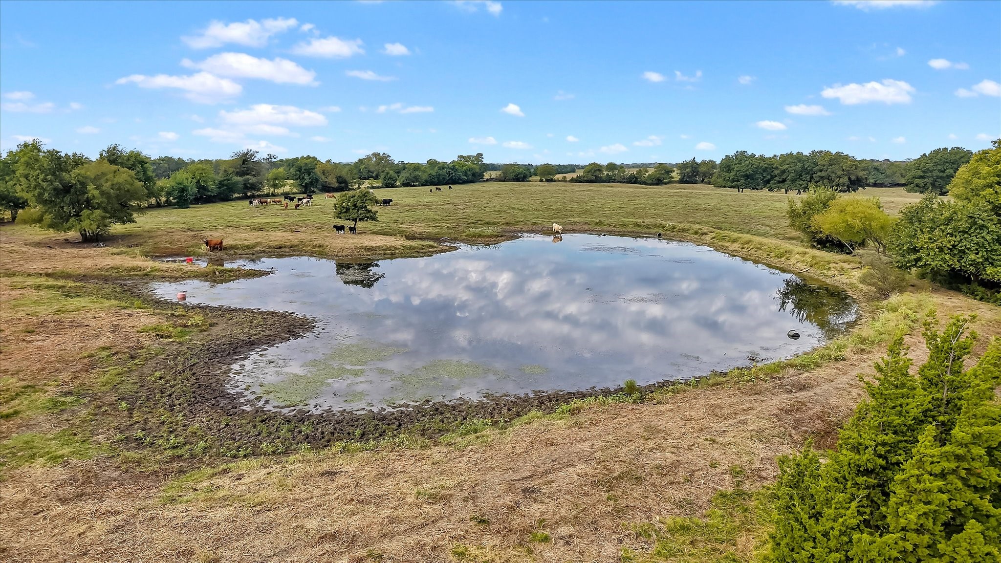 1454 County Road 4120 Bonham TX 75418