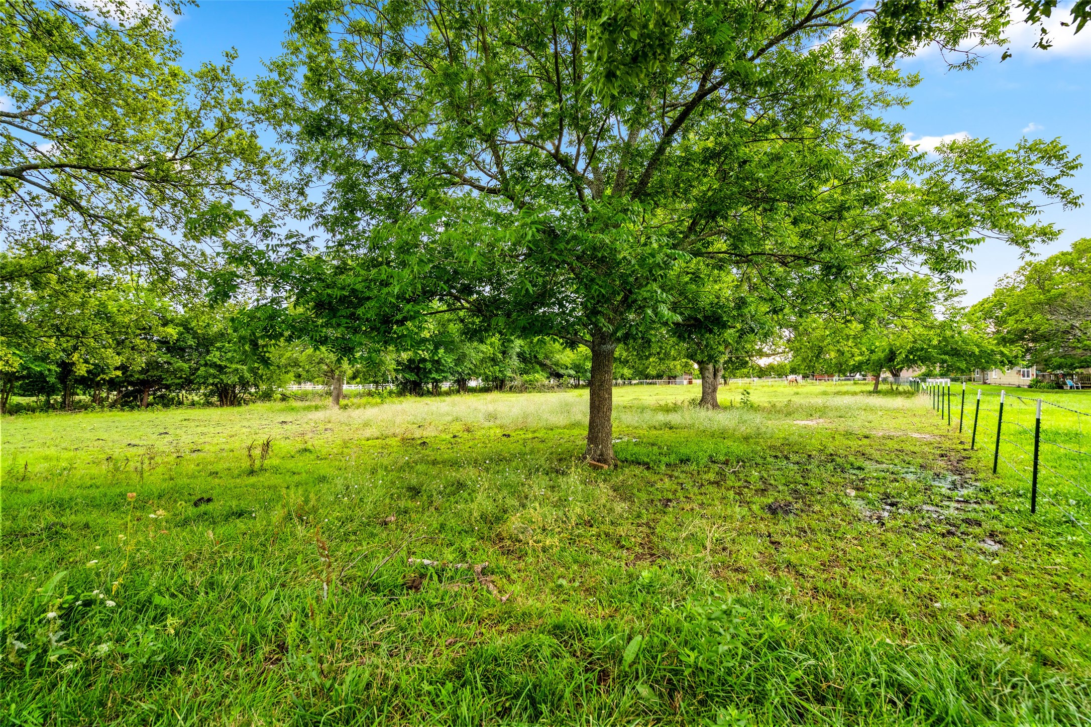 4295 County Road 1152 Greenville TX 75401