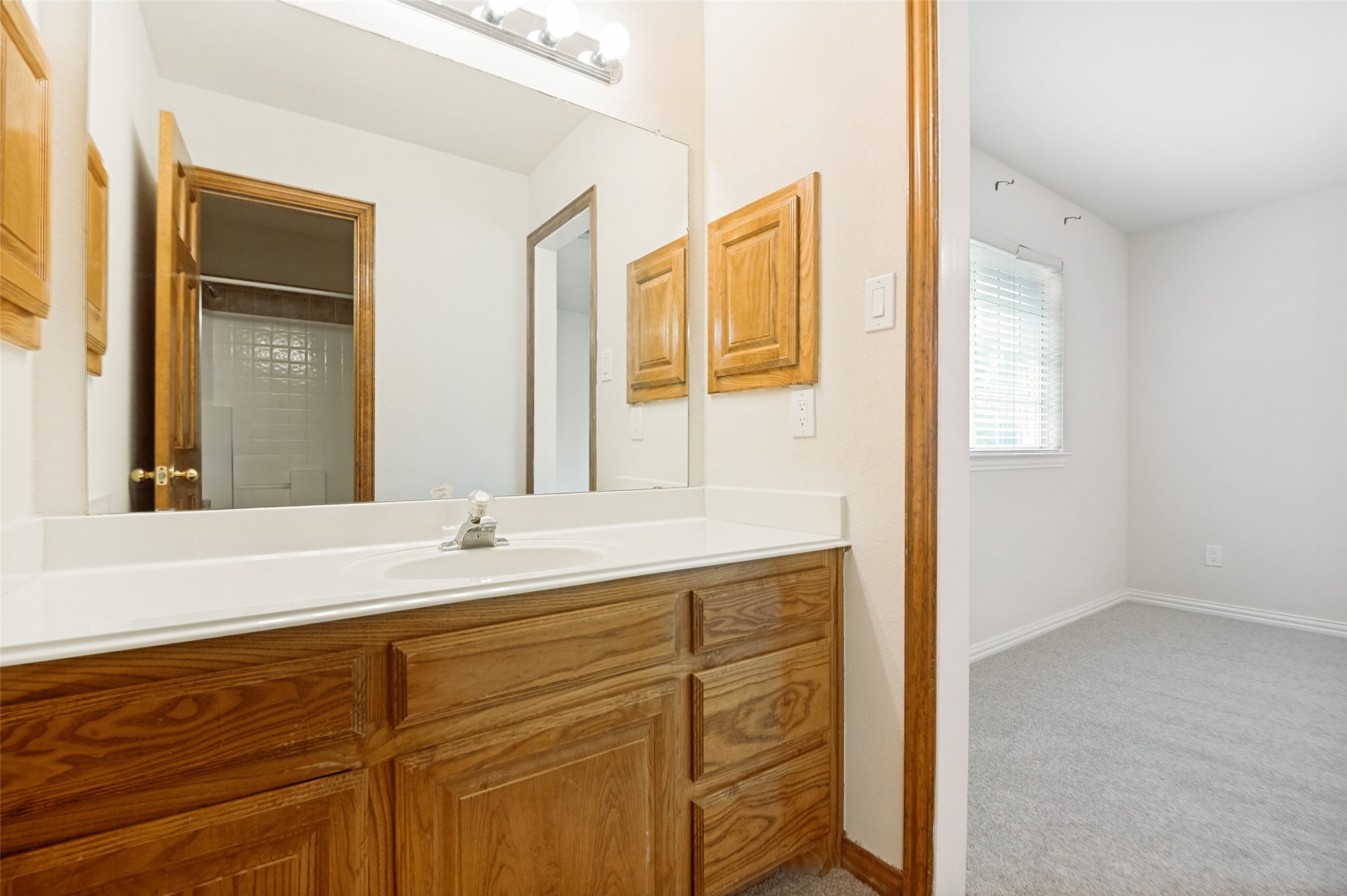 1119 Shallow Bend Drive Desoto TX 75115
