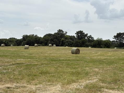 250 Vz County Road 2922 Athens TX 75752