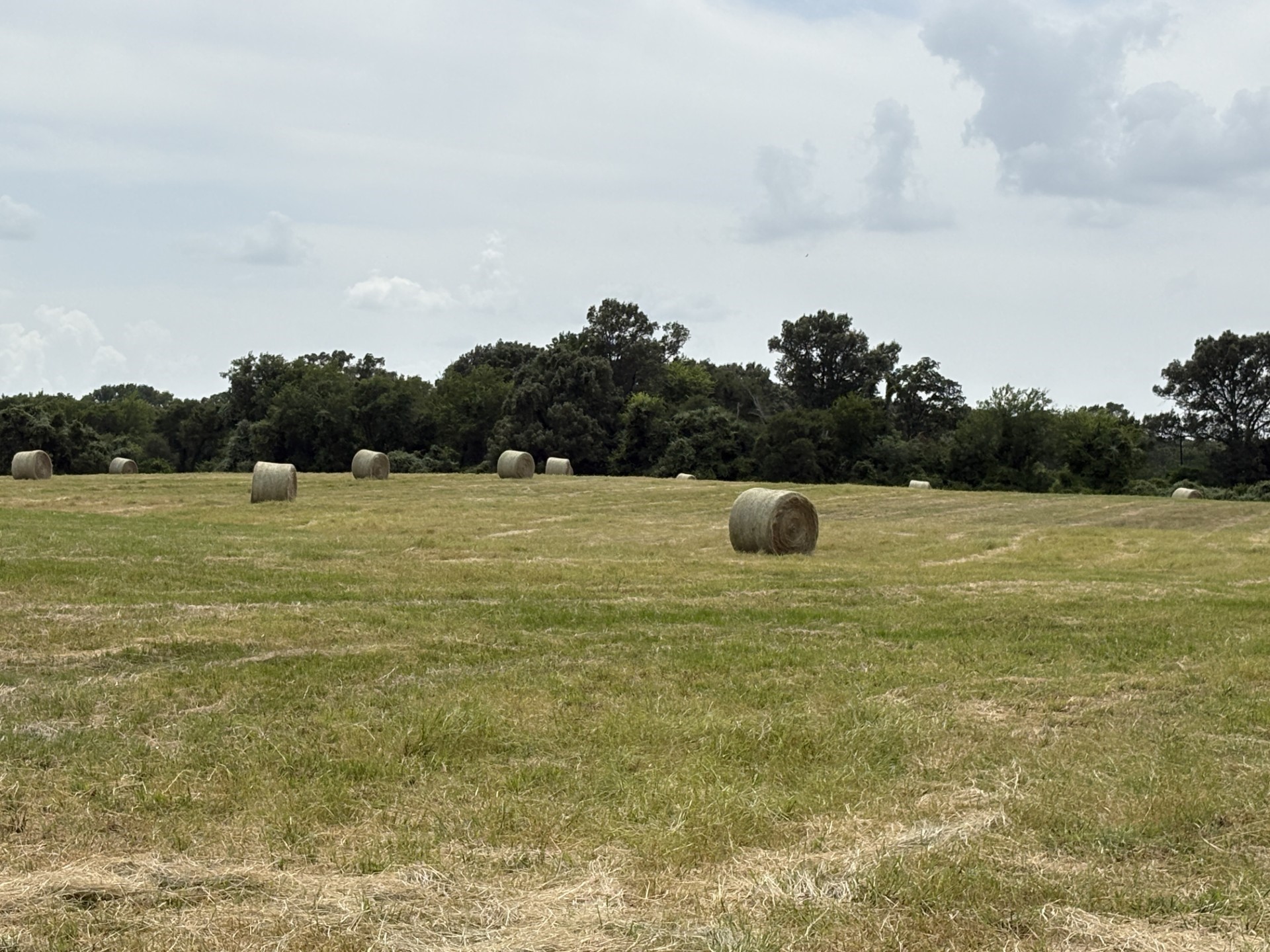 250 Vz County Road 2922 Athens TX 75752