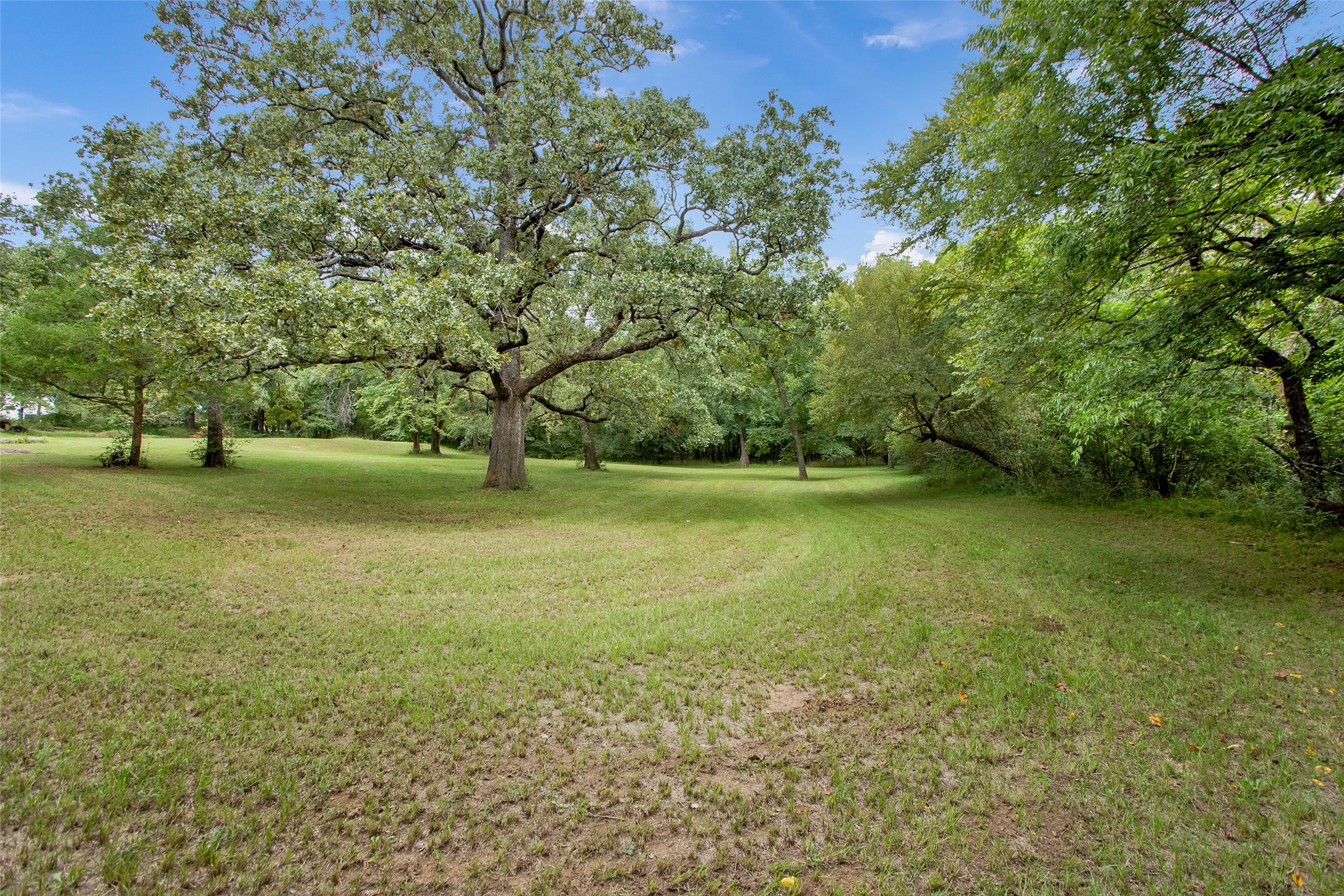 206 Clements Road Whitesboro TX 76273