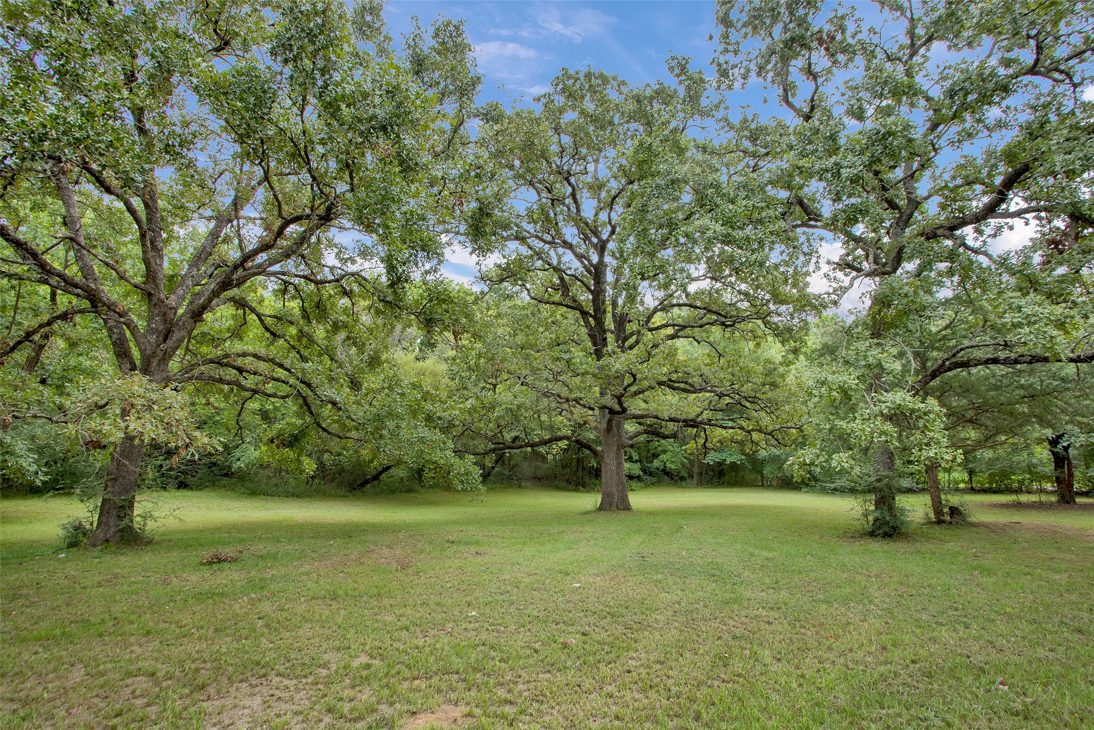206 Clements Road Whitesboro TX 76273