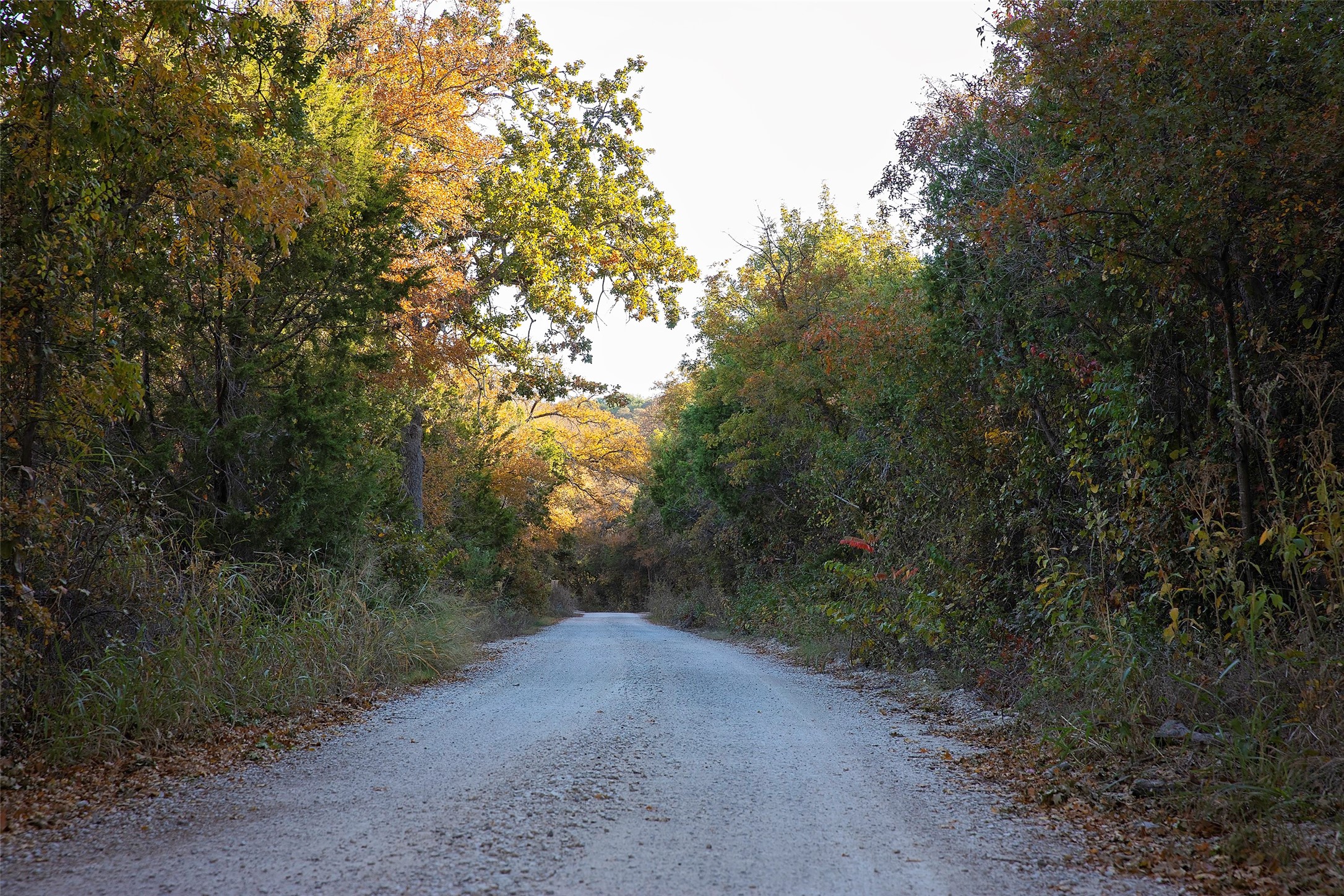 9051 Lacy Road Graford TX 76449