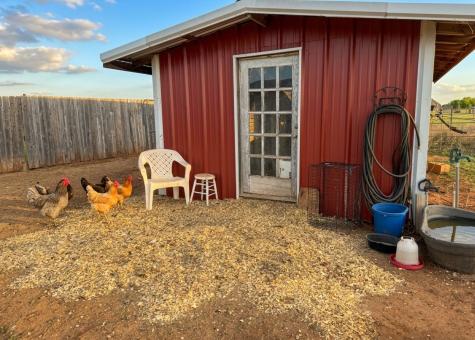 12175 Private Road 6054 Hawley TX 79525