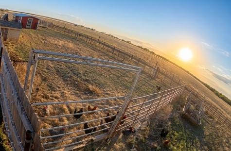 12175 Private Road 6054 Hawley TX 79525