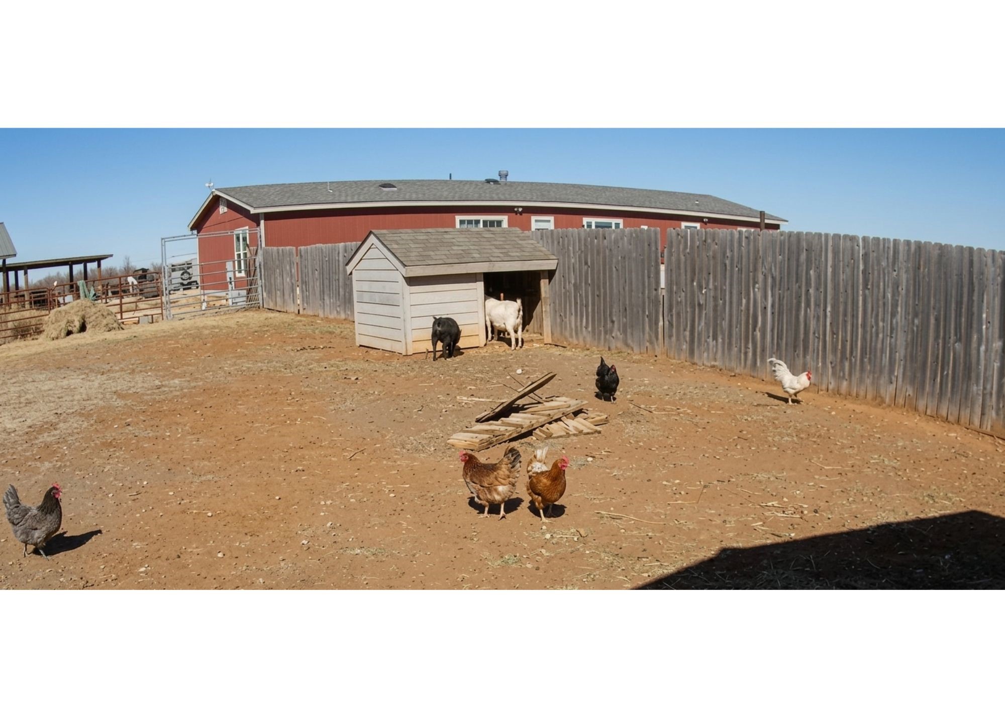 12175 Private Road 6054 Hawley TX 79525