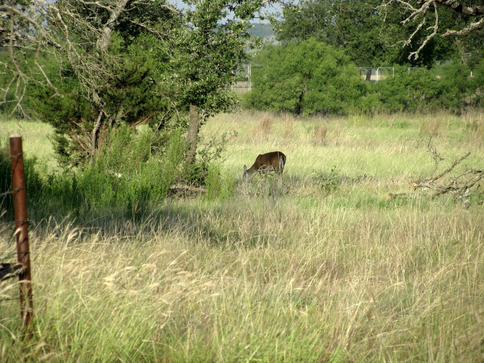 2171 County Road 419 Evant TX 76525
