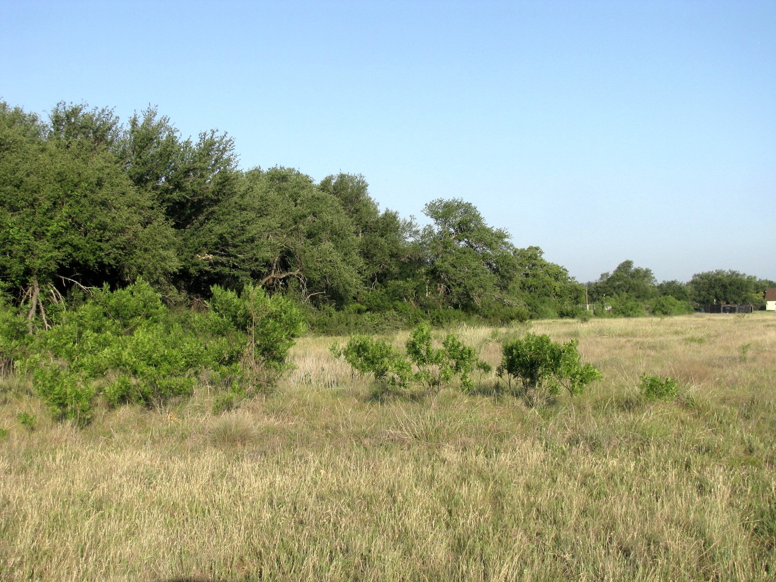 2171 County Road 419 Evant TX 76525