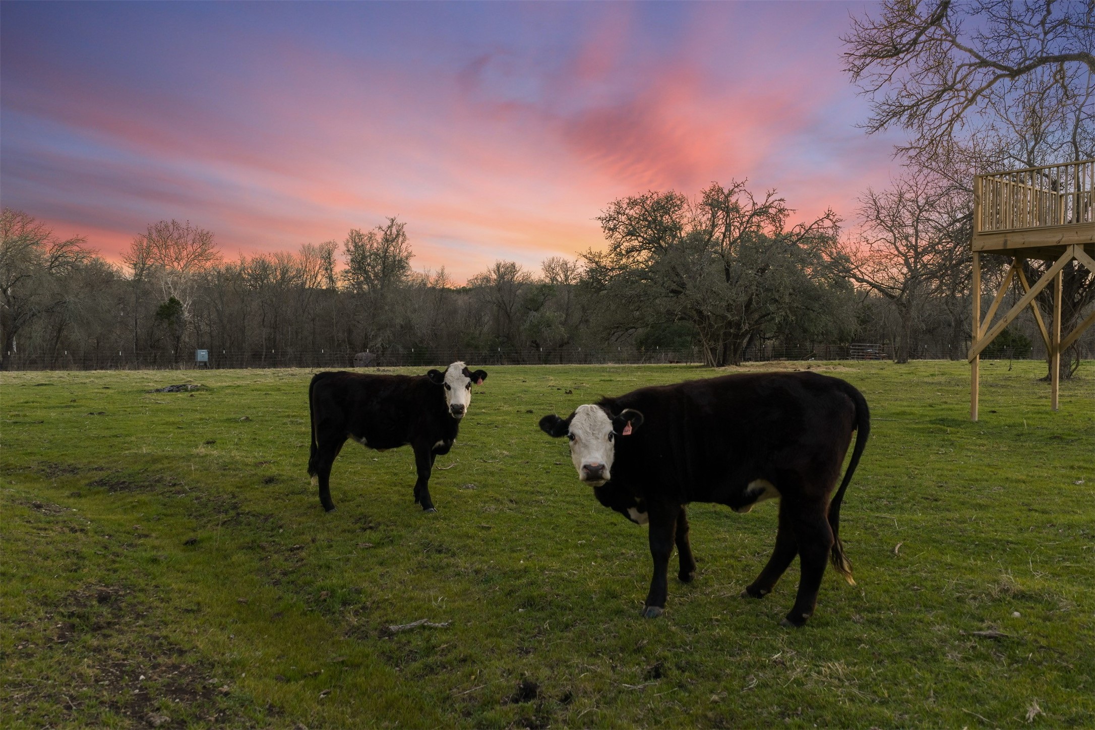1435 County Road 3550 Valley Mills TX 76689