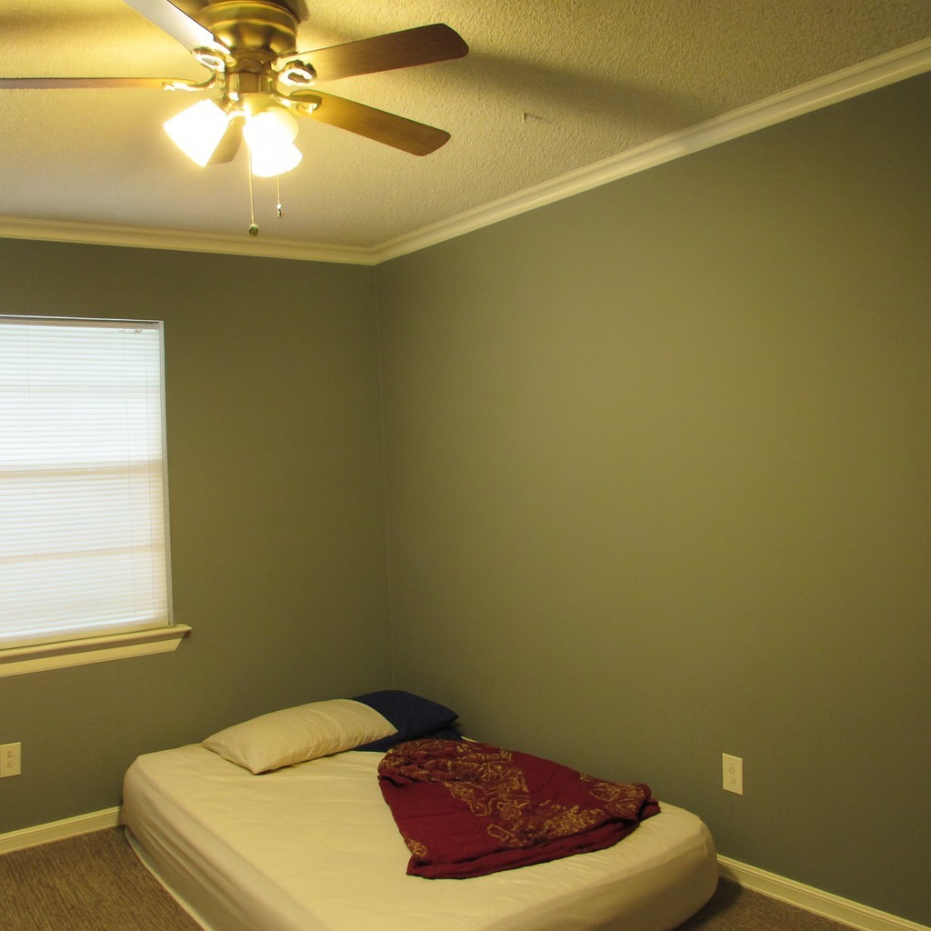 10513 Shauna Drive Greenville TX 75402