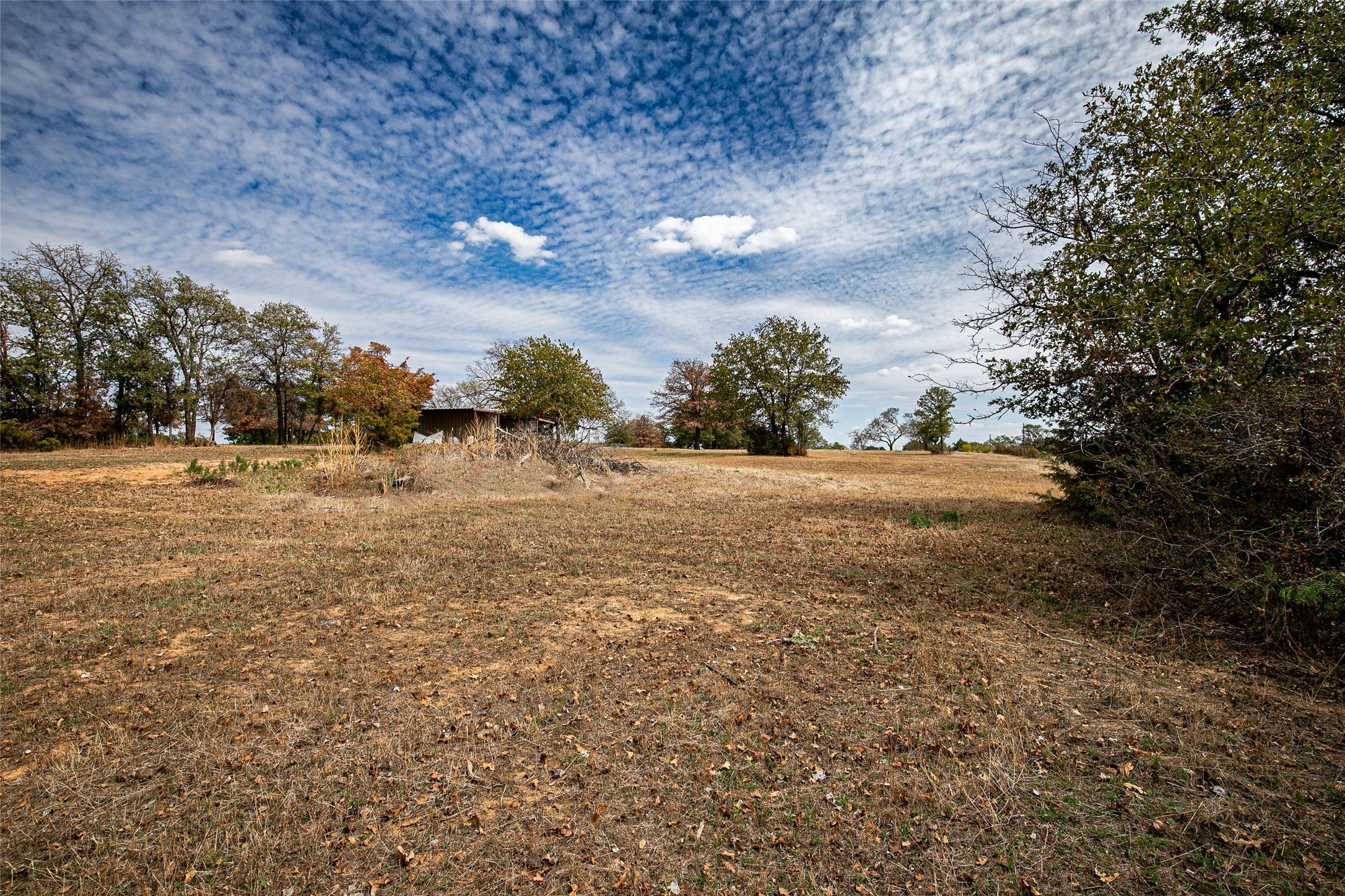 115 Private Road 4394 Decatur TX 76234