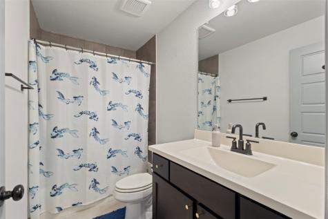 1913 Braided Mane Avenue Aubrey TX 76227