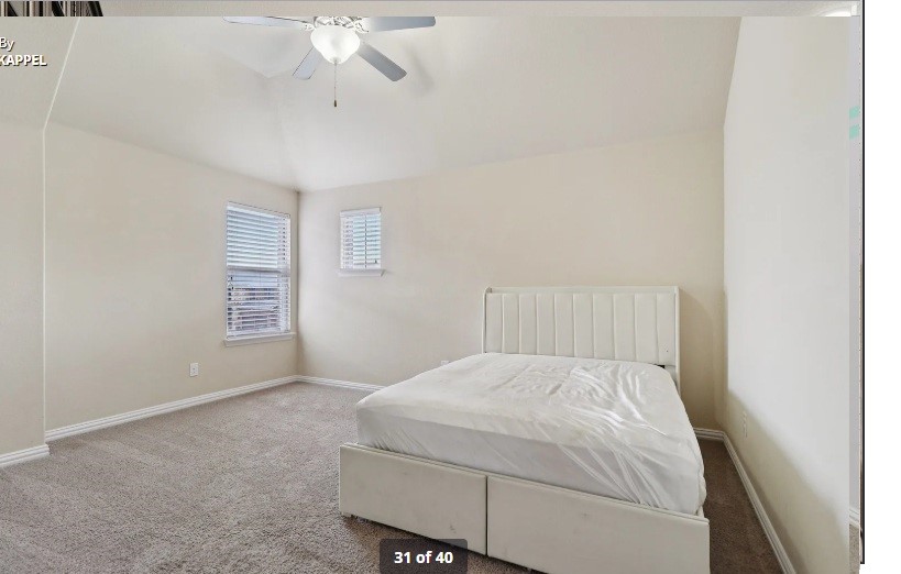 1009 Chickasaw Drive Carrollton TX 75010