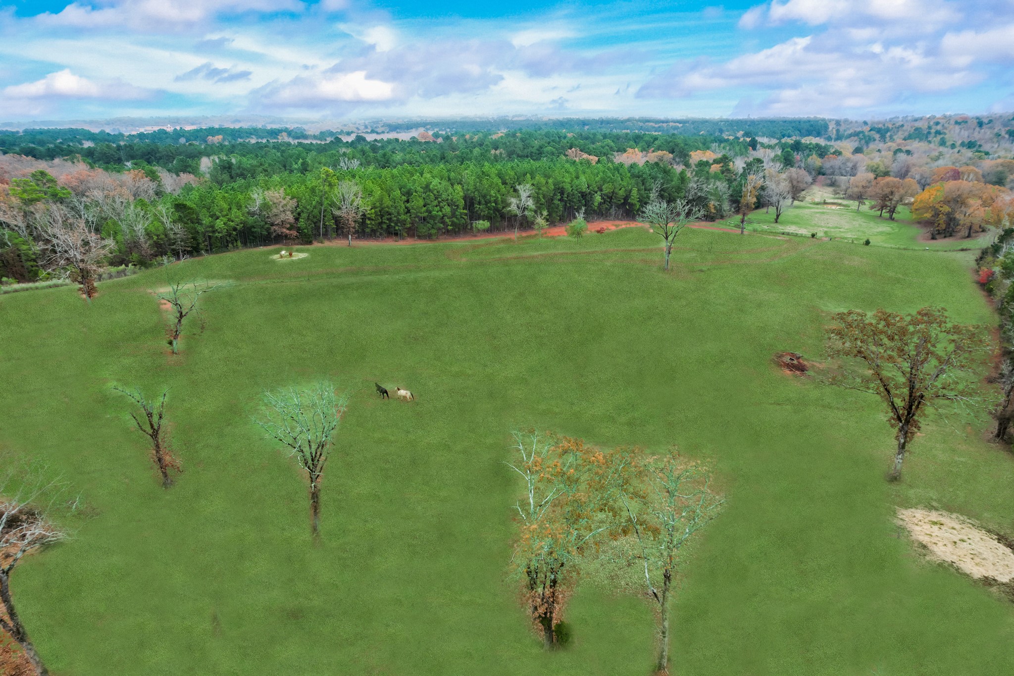 10794 County Road 334 Tyler TX 75708