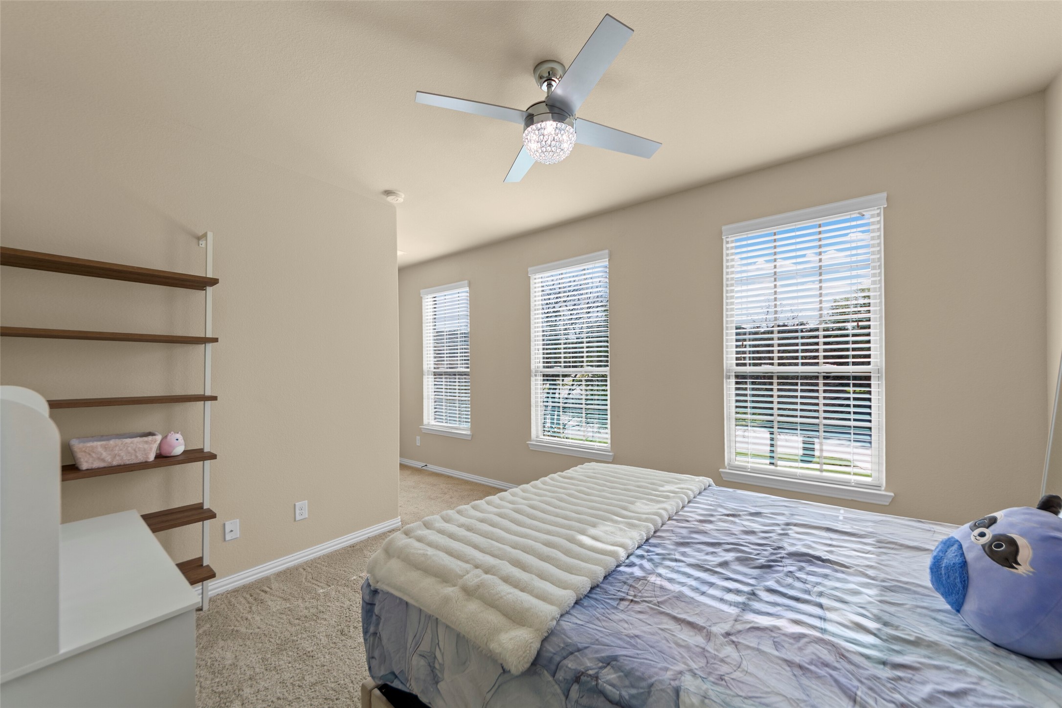 1105 Mallard Lakes Drive Mckinney TX 75072