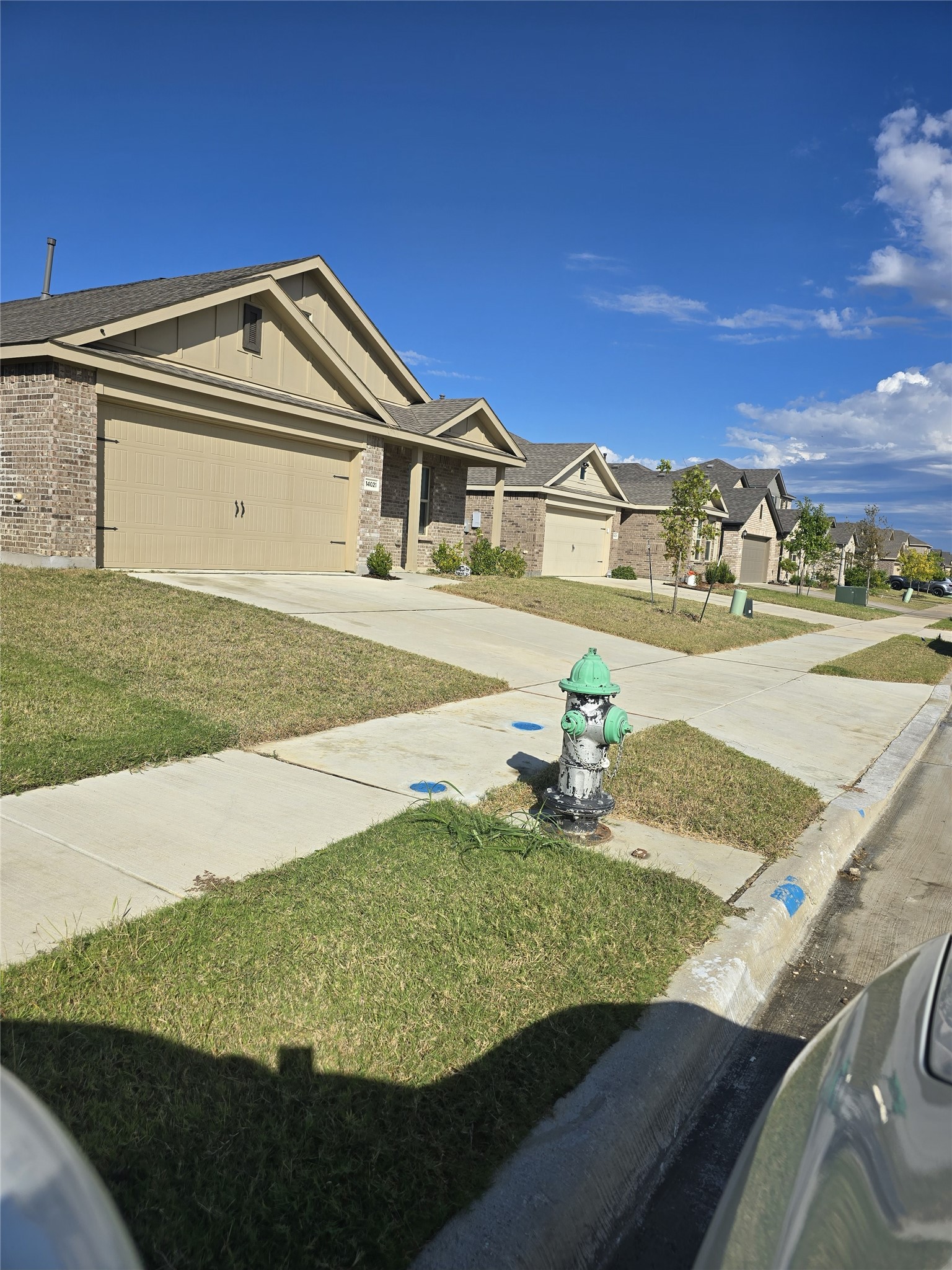 14017 Ilderton Street Pilot Point TX 76258