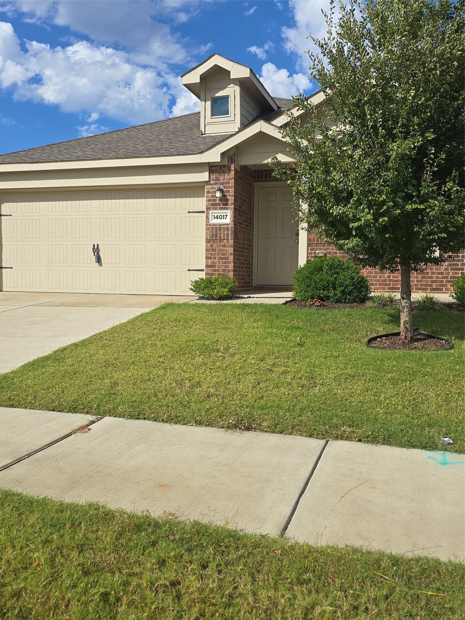14017 Ilderton Street Pilot Point TX 76258