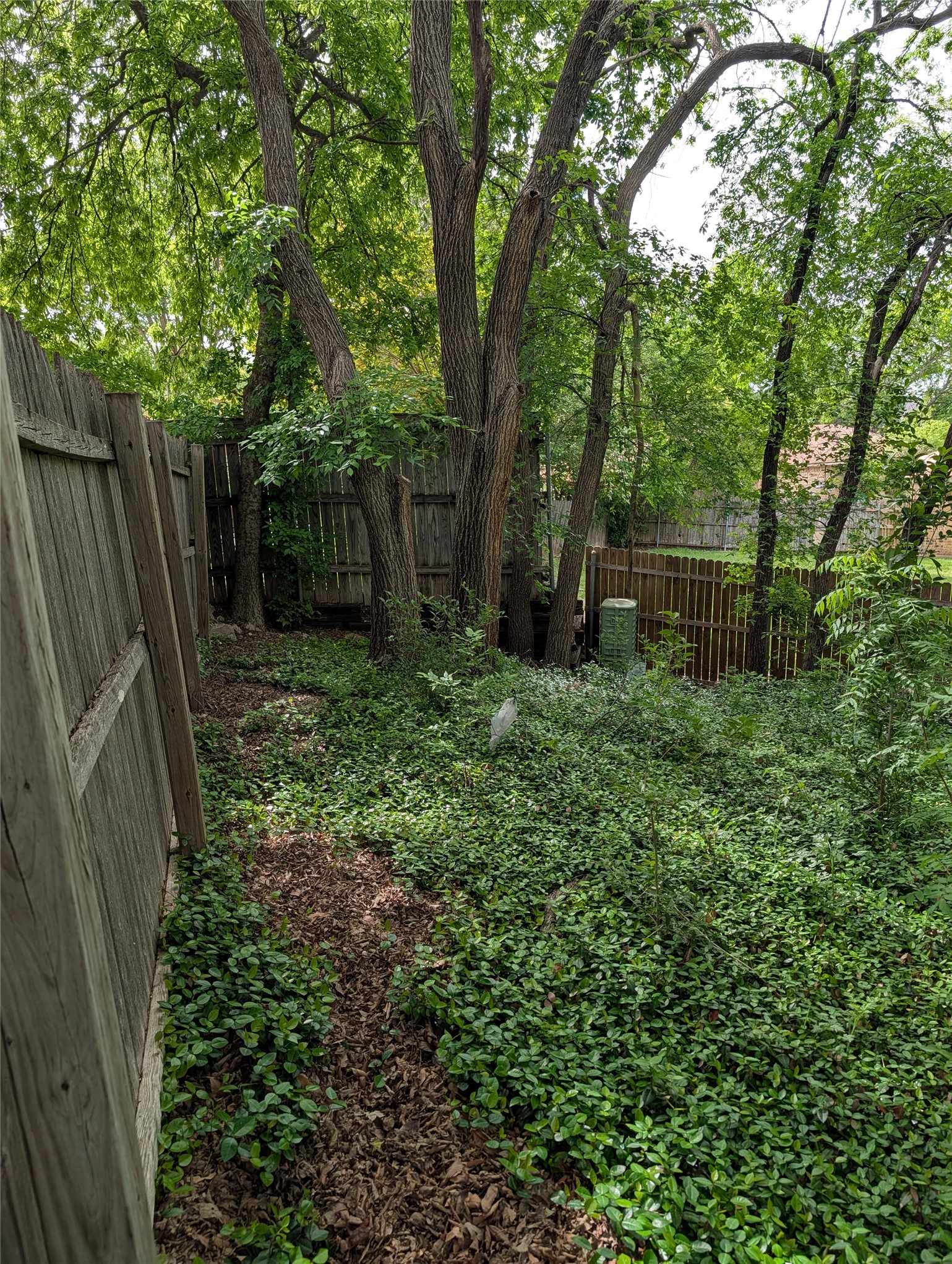 3004 Encino Drive Fort Worth TX 76116