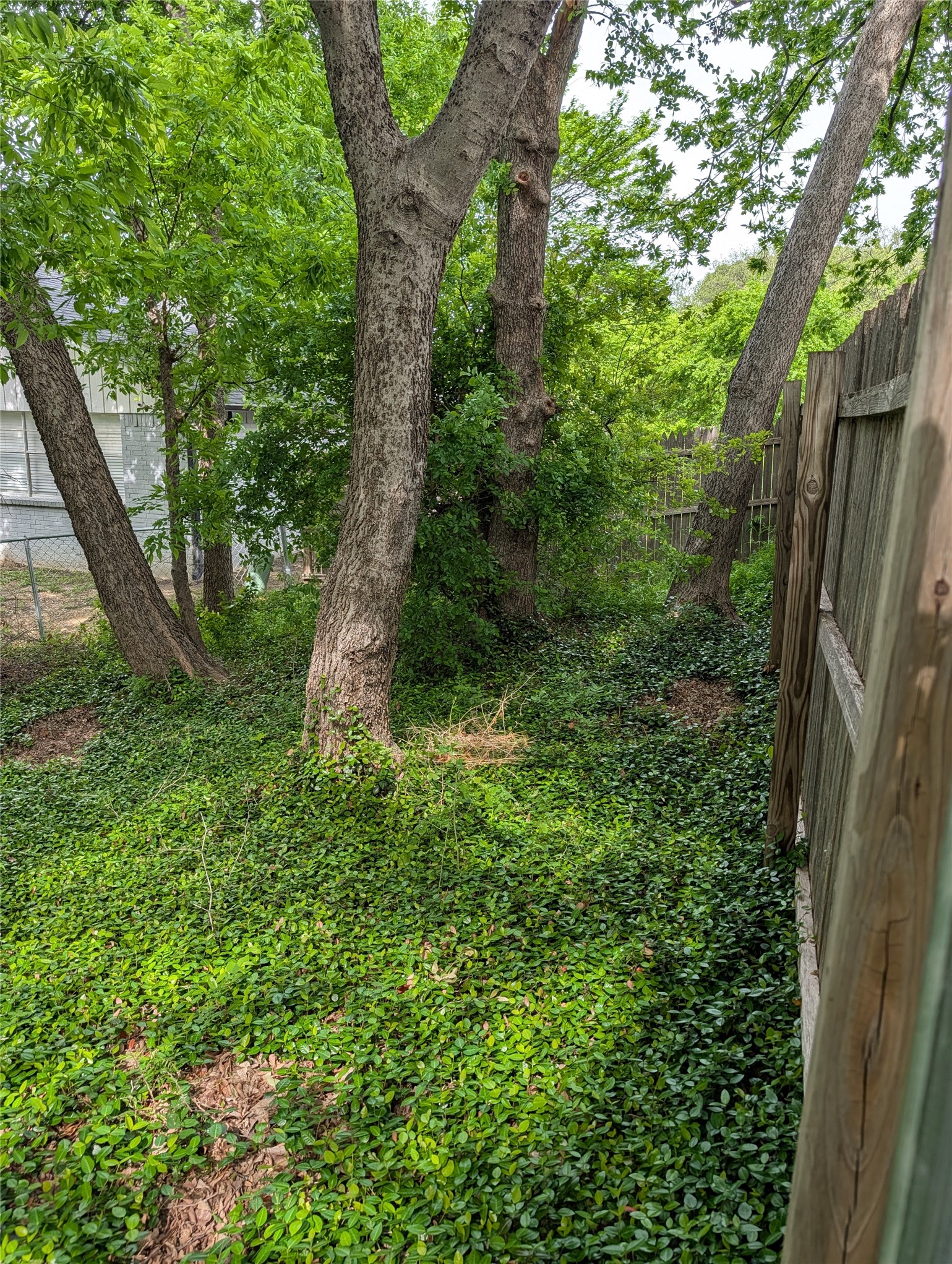 3004 Encino Drive Fort Worth TX 76116