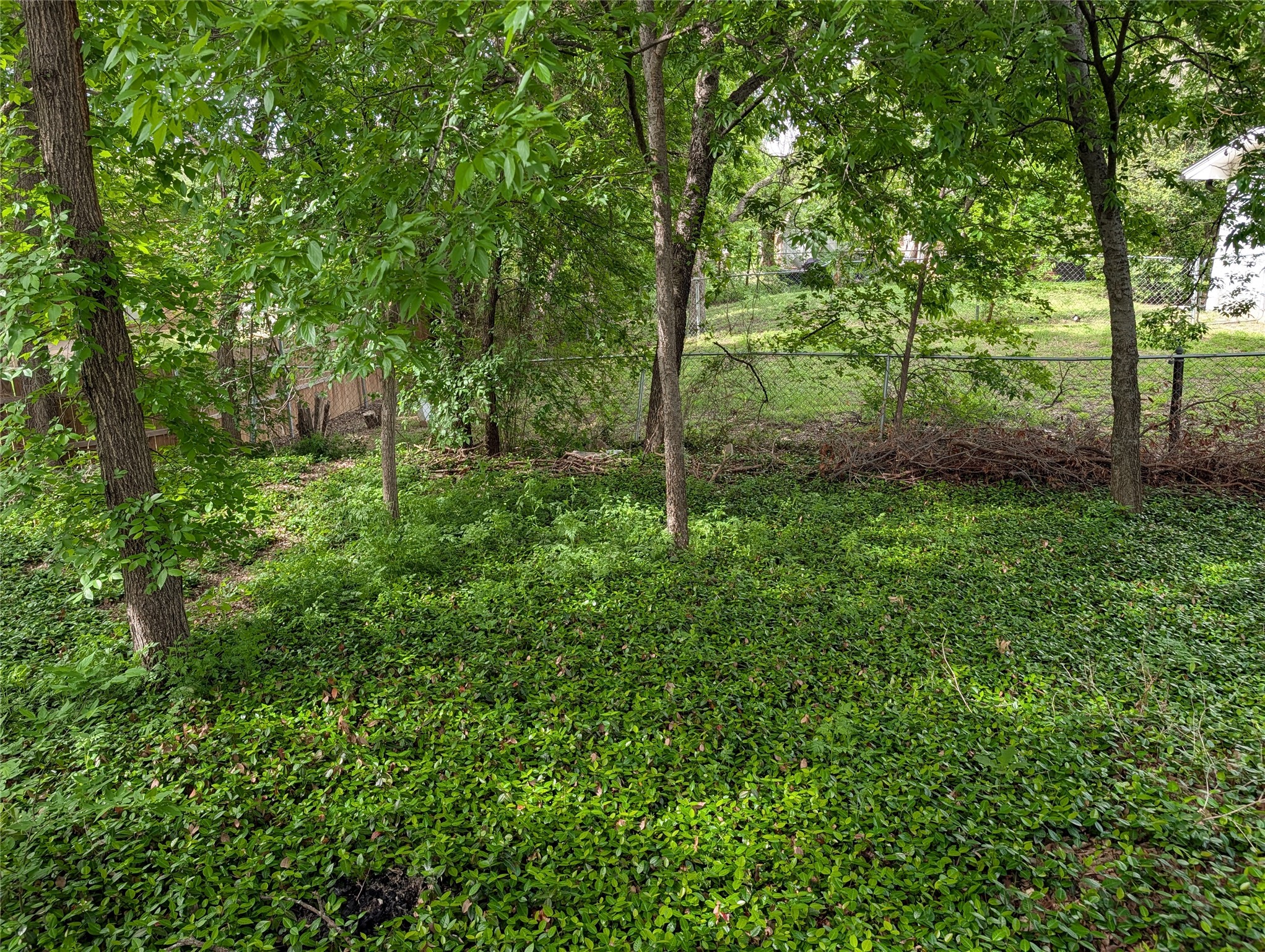 3004 Encino Drive Fort Worth TX 76116
