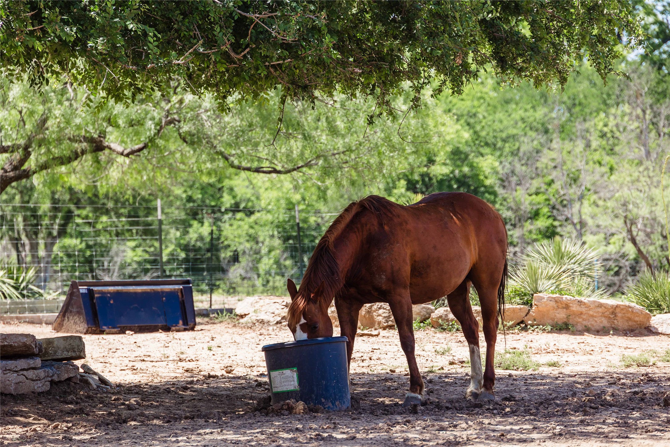 217 County Road 102 San Saba TX 76877