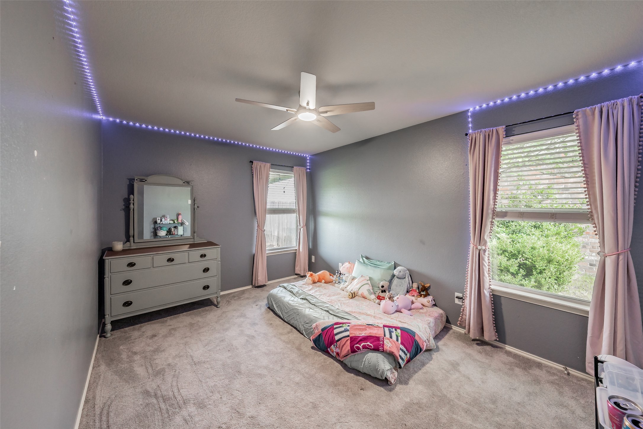 245 Cedar Crest Drive Justin TX 76247