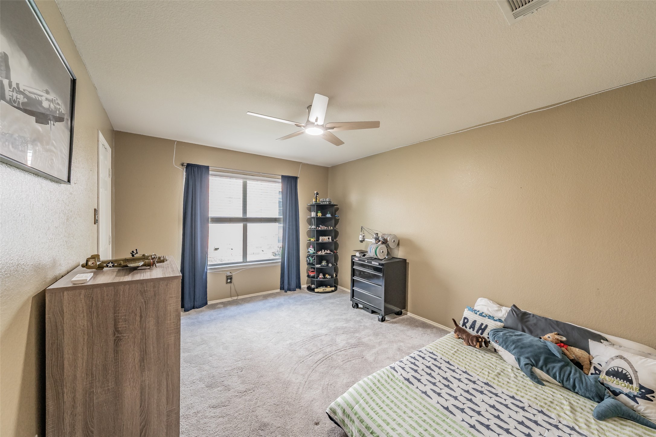 245 Cedar Crest Drive Justin TX 76247