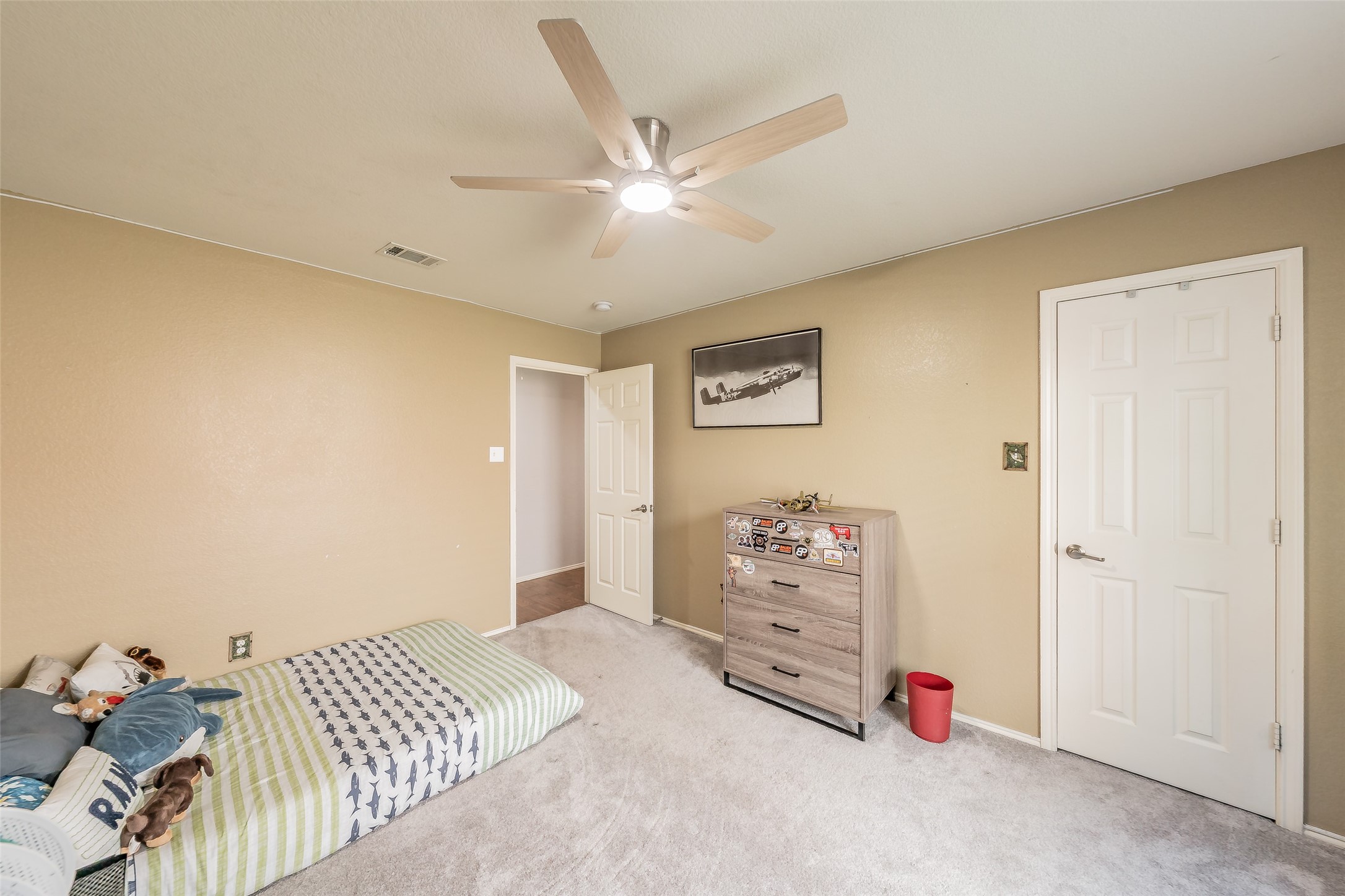245 Cedar Crest Drive Justin TX 76247