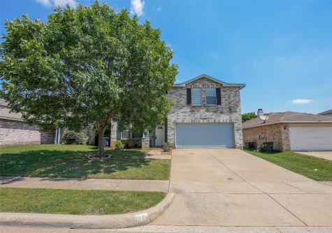 3900 Golden Horn Lane Fort Worth TX 76123