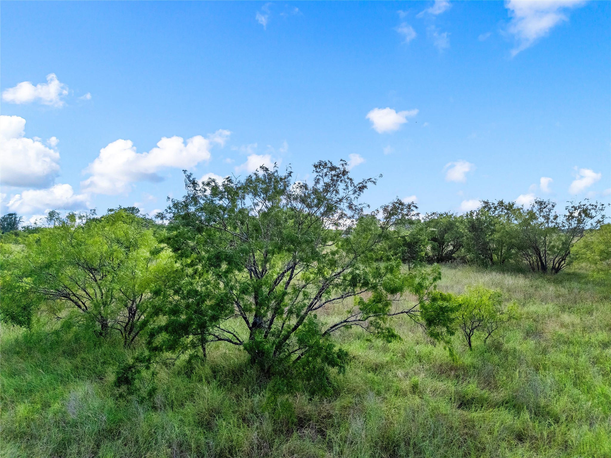188 N Baese Road West TX 76691