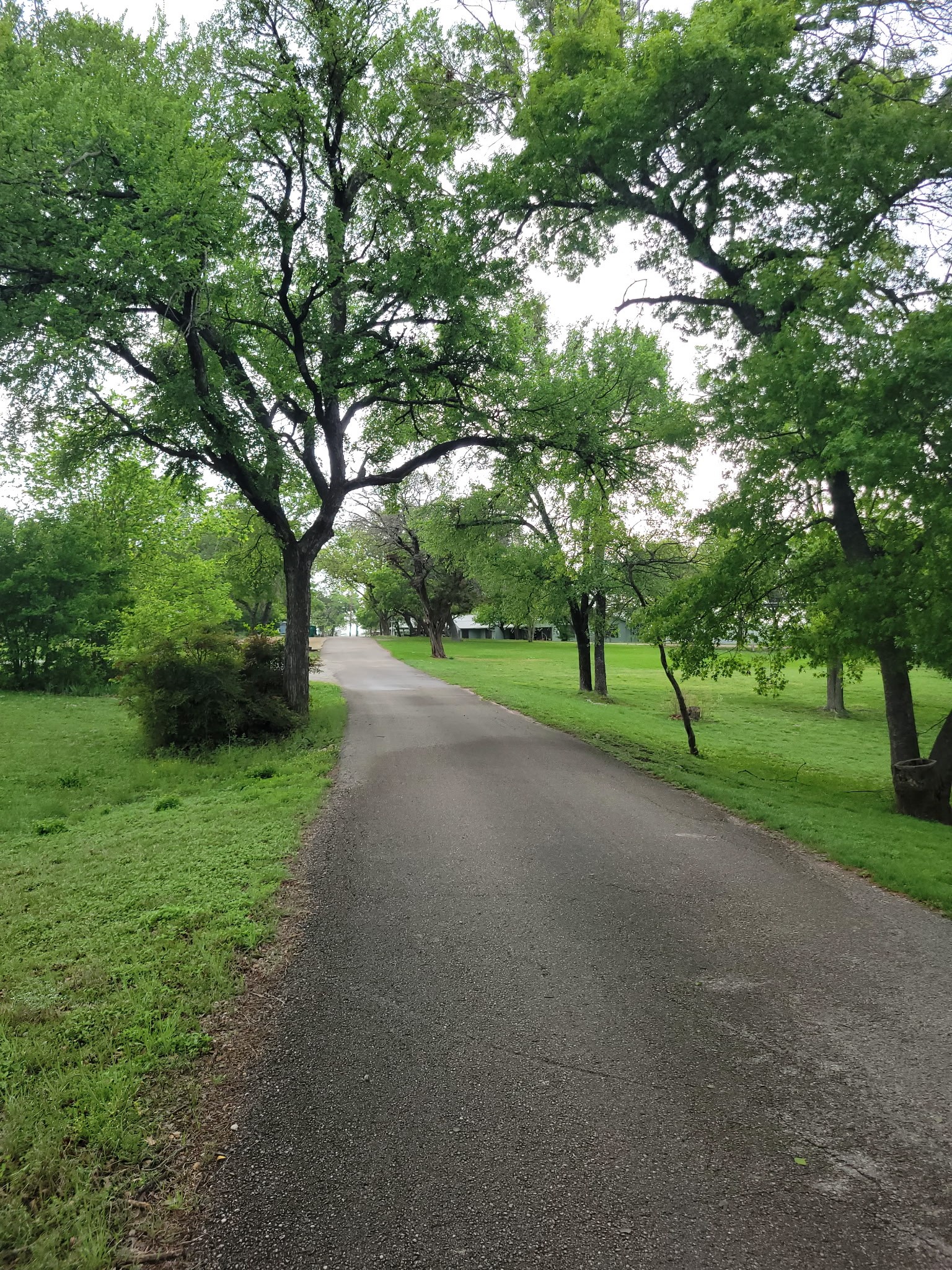 279 County Road 1710 Clifton TX 76634