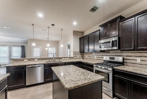 2305 Michelle Creek Drive Little Elm TX 75068