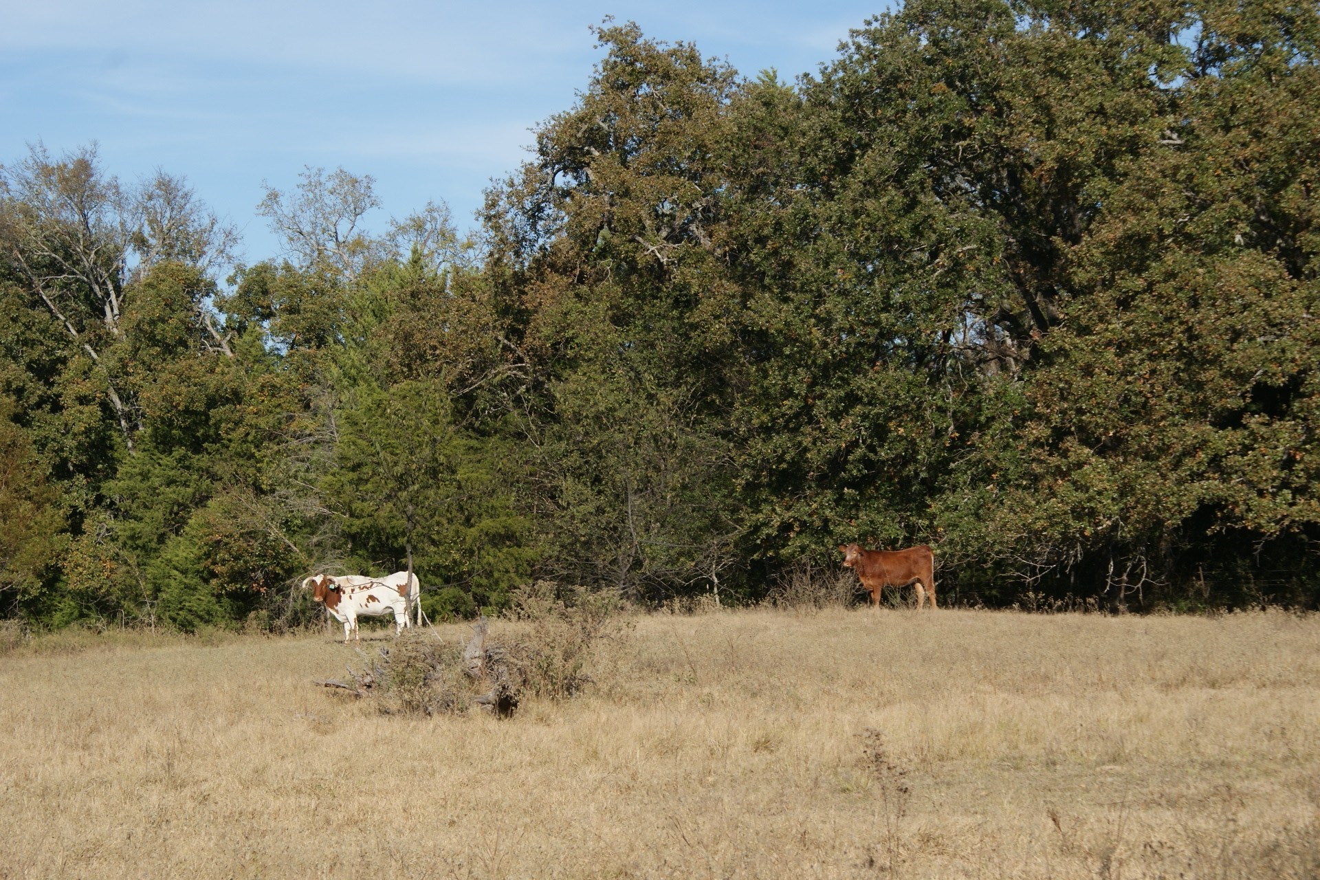 13733 County Road 109 Kaufman TX 75142