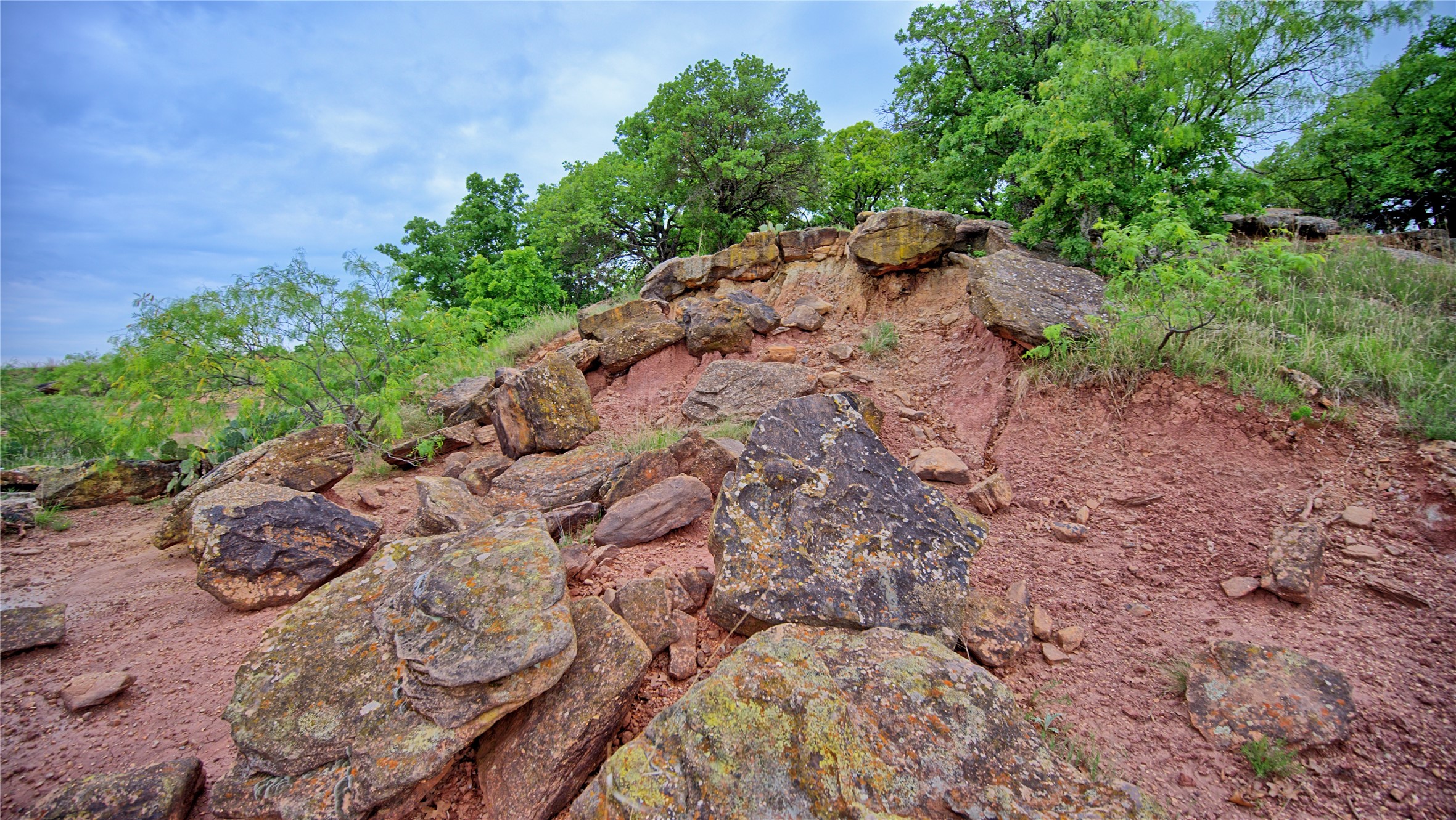 3377 Lodge Creek Road Henrietta TX 76365