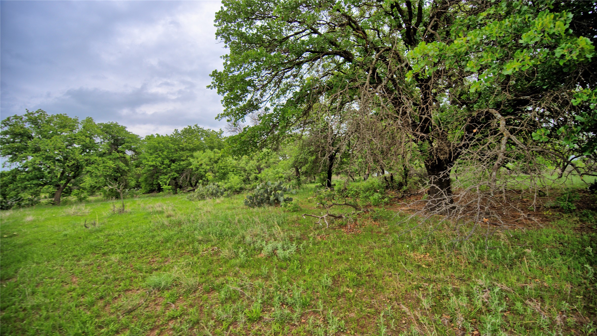 3377 Lodge Creek Road Henrietta TX 76365
