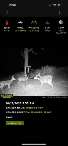 8737 E Fm 1567 Sulphur Springs TX 75482